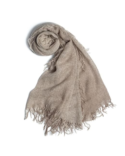 Bel Cashmere Gray Cashmere Foulard With Fringes Organic