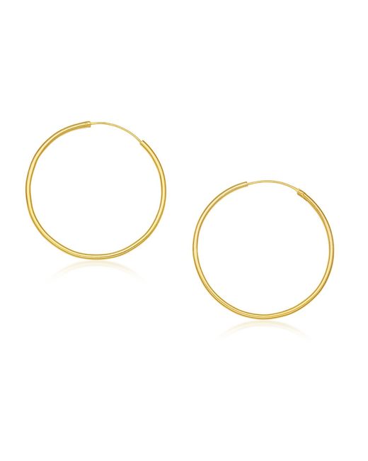 Preeti Sandhu Metallic Lunar Hoops