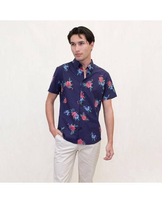 Lords of Harlech Blue Tim Oxford Harmony for men