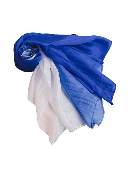 Silk and Bears Blue Ombre Habotai Silk Scarf – Hand-Dyed Mulberry Silk