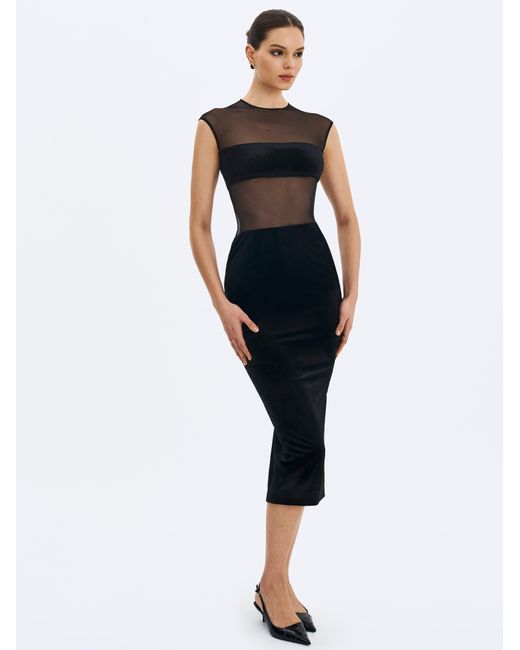 Miss Circle New York Black Quielle Mesh & Velvet Midi Bodycon Dress