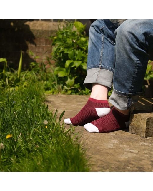 Peper Harow - Made in England Red Trainer Socks Bundle – Burgundy for men