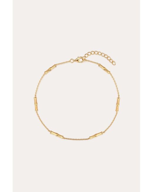 Vanhi Metallic Bamboo Chain Anklet