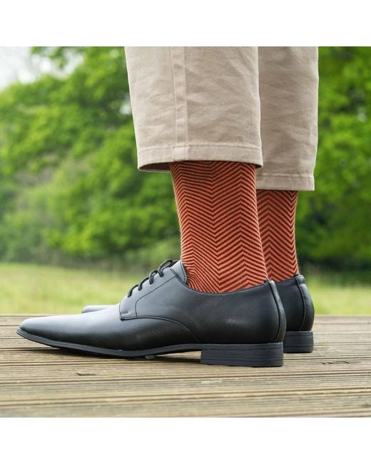Peper Harow - Made in England Multicolor Lux Taylor Socks Two Pack for men