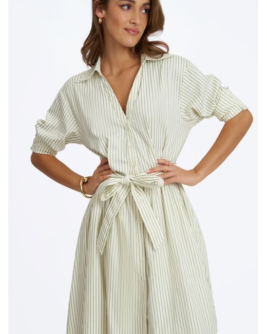 Miss Circle New York Gray Danica Pine Bamboo Poplin Striped Shirt Midi Dress