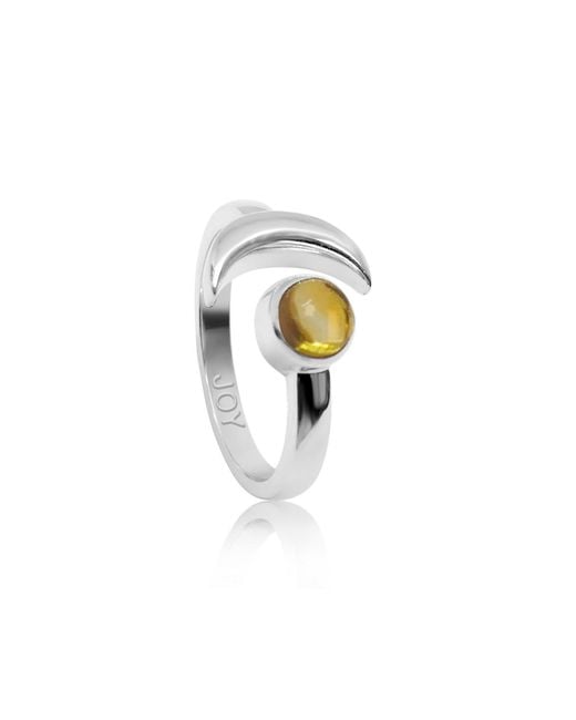 The Jewellery Store London Metallic Adjustable November Joy Birthstone Ring