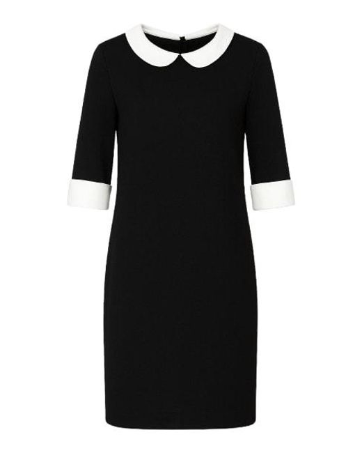 Conquista Black Straight Dress With Contrast Details