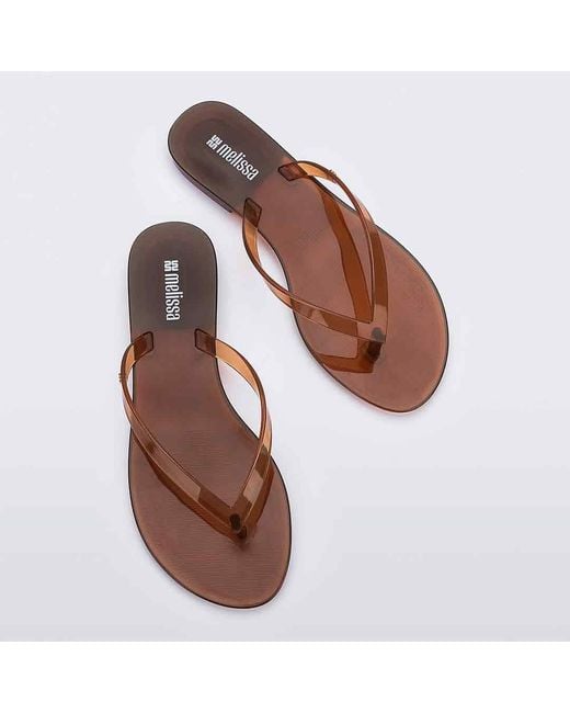 Melissa Brown Harmonic Jelly