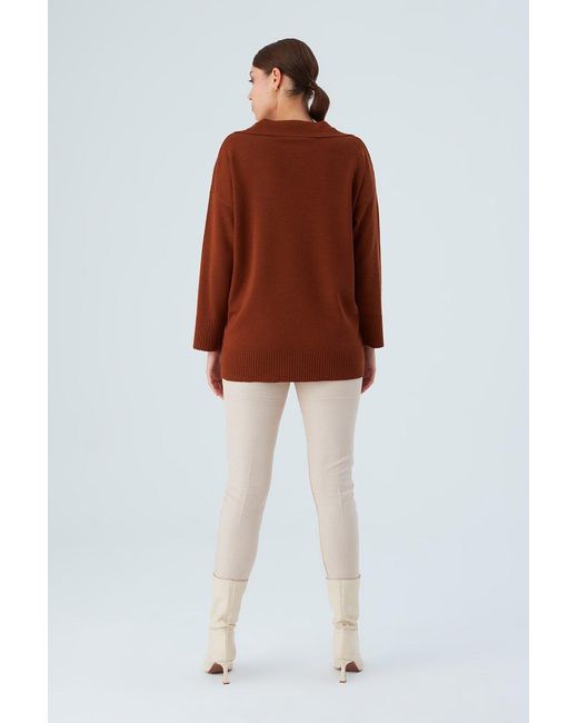 Peraluna Brown Polo V Neck Wide Sleeve Loose Fit Knit Pullover