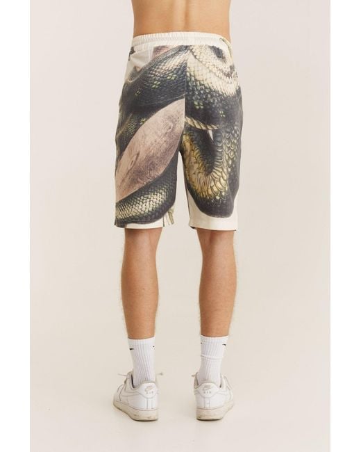 mysimplicated Natural Bermuda Shorts for men