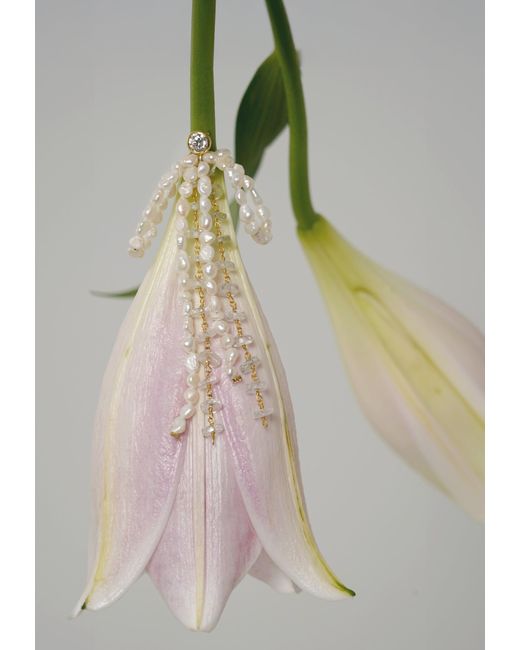 Lavani Jewels White Aurora Ribbon Pearl Earrings