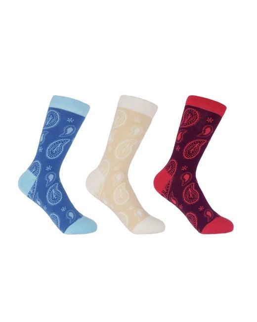 Peper Harow - Made in England Blue Organic Paisley Socks Bundle