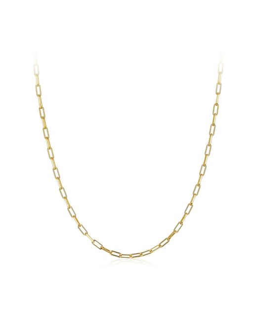 Janus Edinburgh Metallic 18K Vermeil Heka Chain Necklace