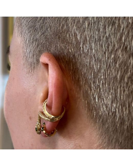 The Link Between White Serpent Ear Climber