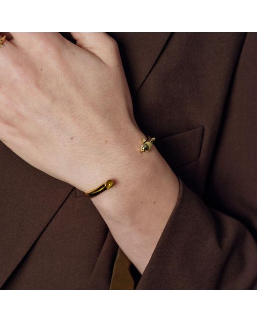 Freqnc Atelier Metallic Dolphin Bangle With Tiger's Eye