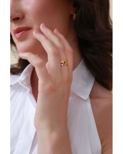 Zynnia Collective Metallic Two Tone Interlink Ring