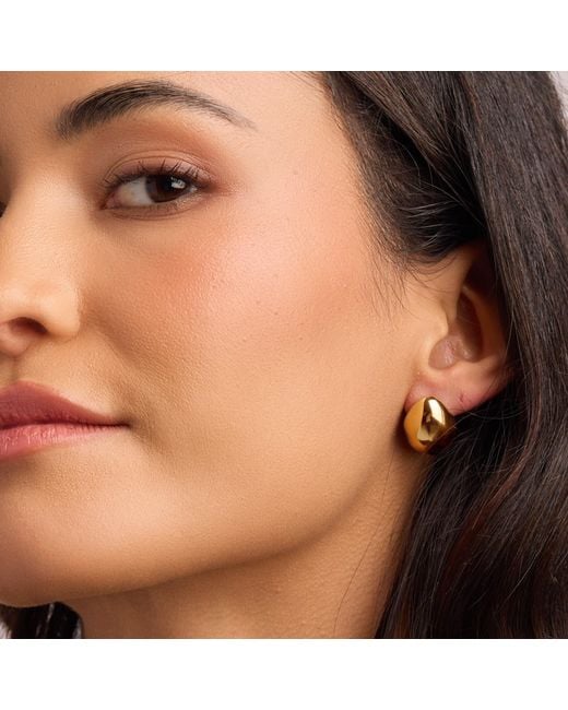Argento Vivo Metallic Arlo Earring