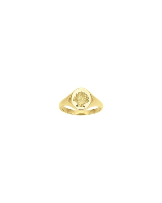 Zoe & Morgan Metallic Secret Society Of Shell Lovers Signet
