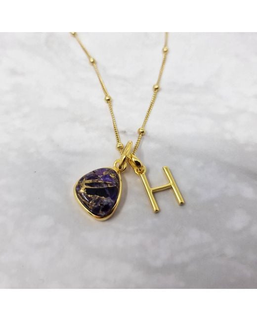Harfi Metallic Vermeil Plated Amethyst February Birthstone Initial Charm Necklace