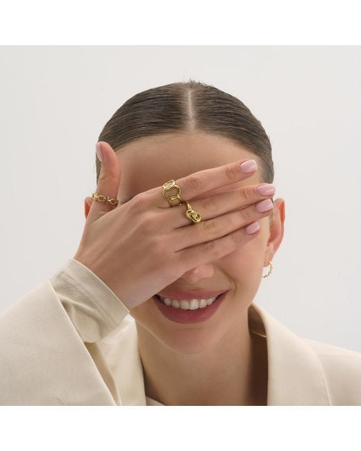Elk & Bloom Metallic Chain Link Ring