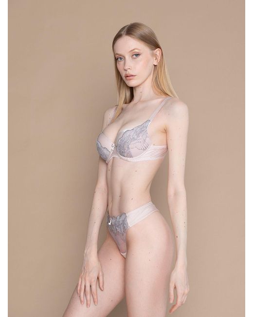 BonBon Lingerie Gray Neutrals Hope Push-Up Bra
