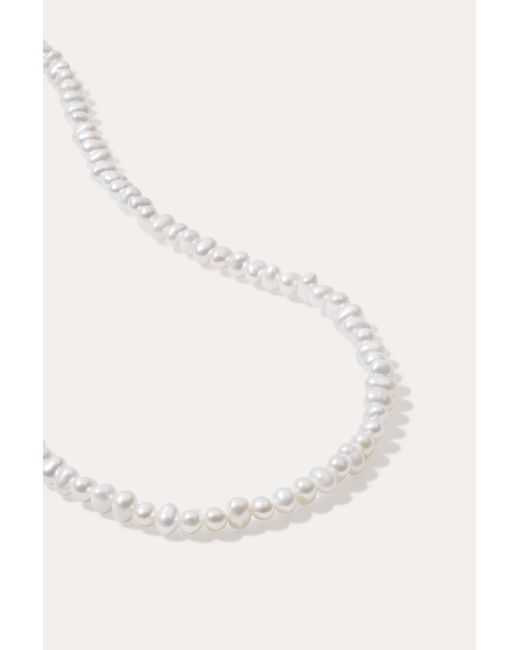 Vanhi White Celia Micro Freshwater Pearl Choker Necklace
