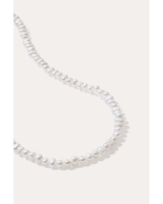 Vanhi White Celia Micro Freshwater Pearl Choker Necklace