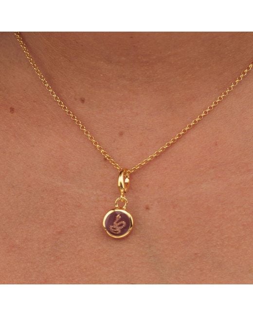 Lily Charmed Metallic Plated Snake Resin Capture Charm Necklace