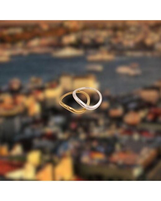 1610Istanbul Metallic Golden Horn Minimalist Ring