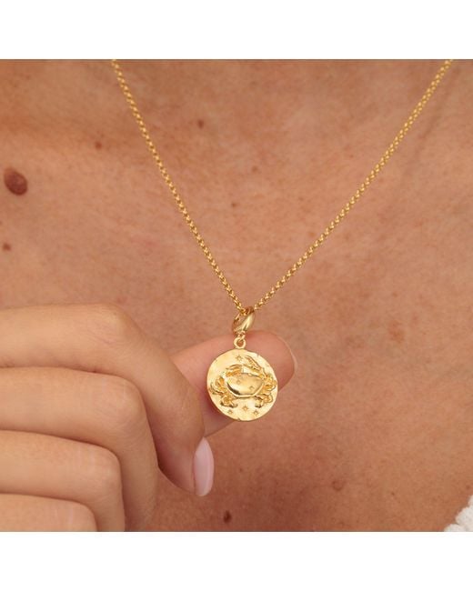 Lily Charmed Metallic Plated Cancer Zodiac Charm Necklace