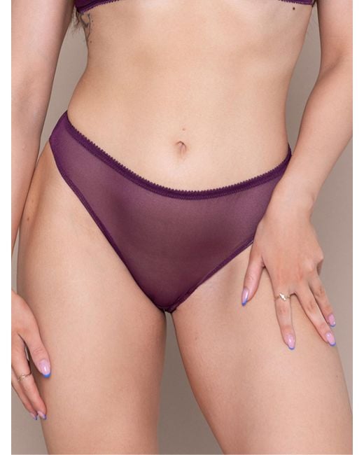 BonBon Lingerie Purple Stardust Plum Full Brief
