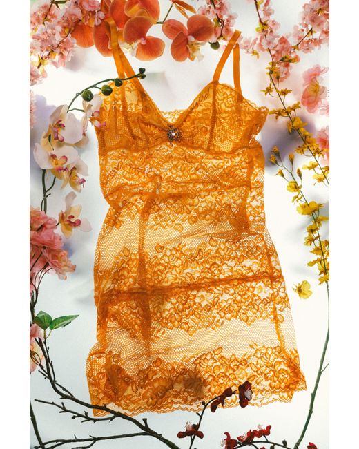 Empress Mimi Orange Queen Bee Lace Negligee Slip Dress