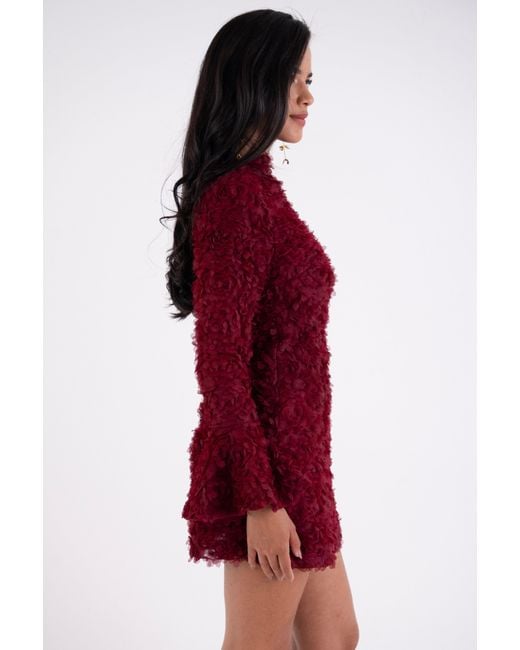 Amy Lynn Delphine Burgundy 3D Floral Textured Mini Dress