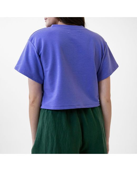 Joeleen Torvick Blue Cropped Box Top Tee