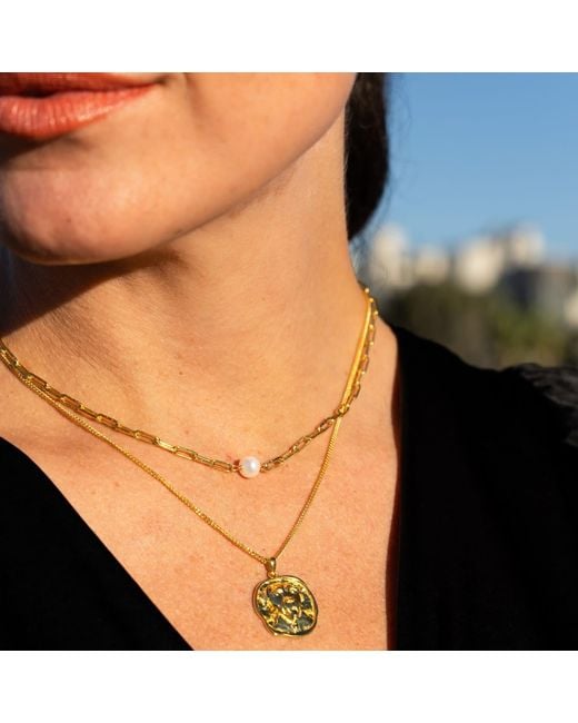 Frenvyrn Metallic Lars Dog Coin Necklace, Vermeil for men