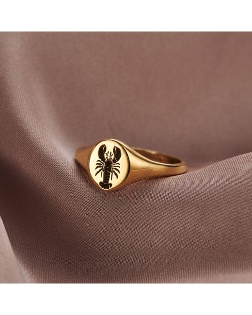 Posh Totty Designs Metallic Yellow Gold Plated Lobster Signet Ring