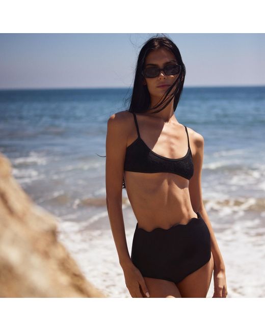 Animal Black Sirène Lace Top
