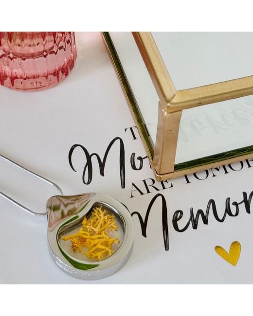 My Little Nature Blue Artisan Necklace With Preserved Butter Moss – Handmade Nature Jewelry