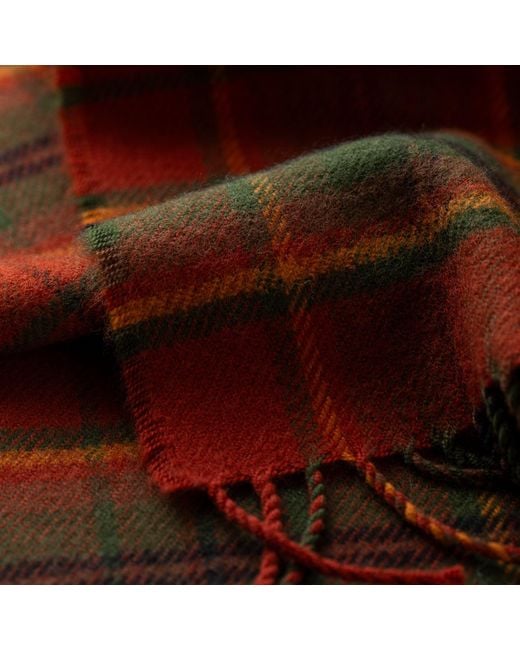 Araminta Campbell Ltd Red Autumn Woodland Walk Lambswool Shawl