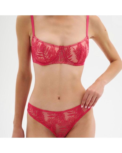 Daily Underwear Red Classic Brazilian Panties Flamingo