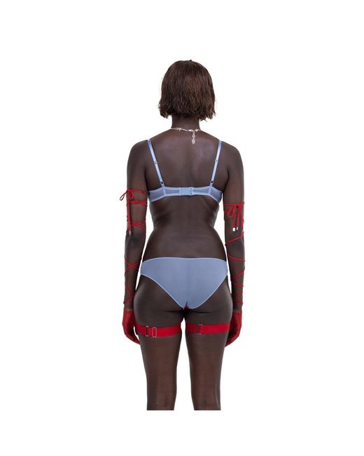 Zhilyova Red Asteria Ash Brief