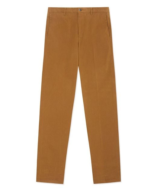 Gresham Blake Brown Light Cotton Stretch Chino for men