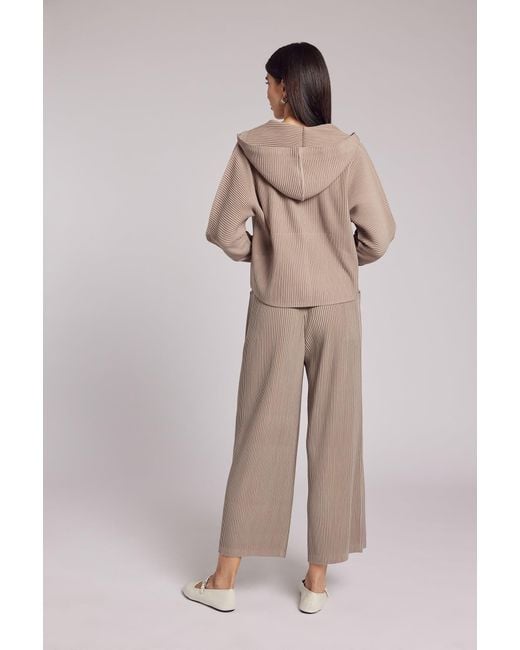 Wild Cosmos Brown Neutrals Vivian Hooded Double Knit Plissé Pull Over