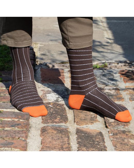 Peper Harow - Made in England Multicolor Dash Socks Bundle for men