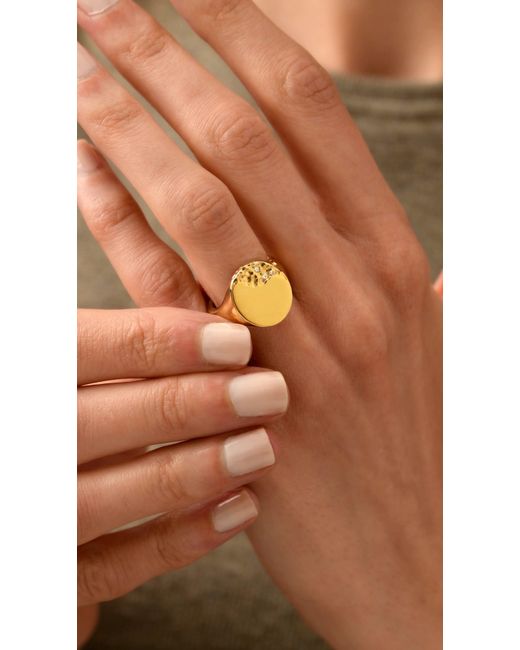 Posh Totty Designs Metallic Strata Oval Signet Ring for men