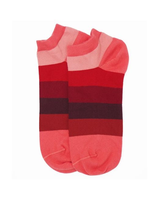 Peper Harow - Made in England Red Block Stripe Fire & Multistripe Burgundy Trainer Socks Bundle for men