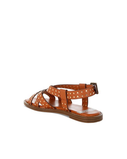 Rag & Co Brown Anemone Studded Flat Gladiator Sandals