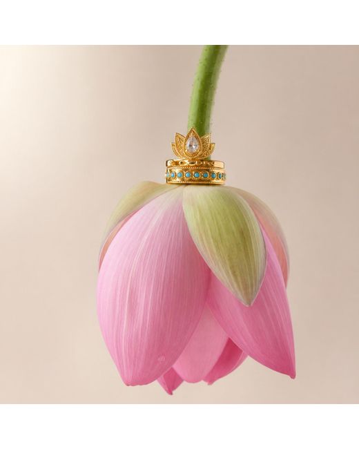 Aurozia Metallic Lotus Within Vermeil Starlight Dew Adjustable Open Ring