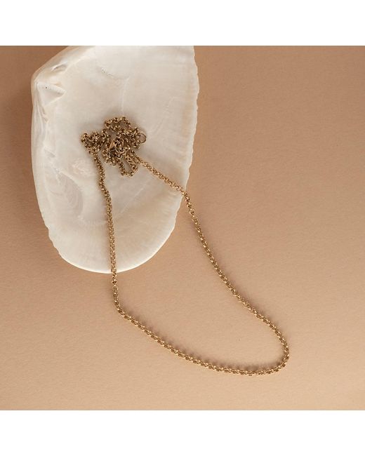 Zoe & Morgan Metallic Kaia Chain