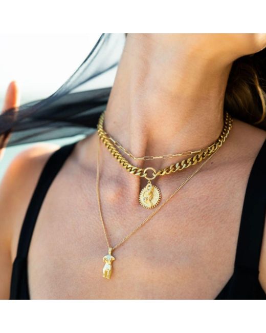 Rachel Nathan Metallic Queen Snake Curb Necklace